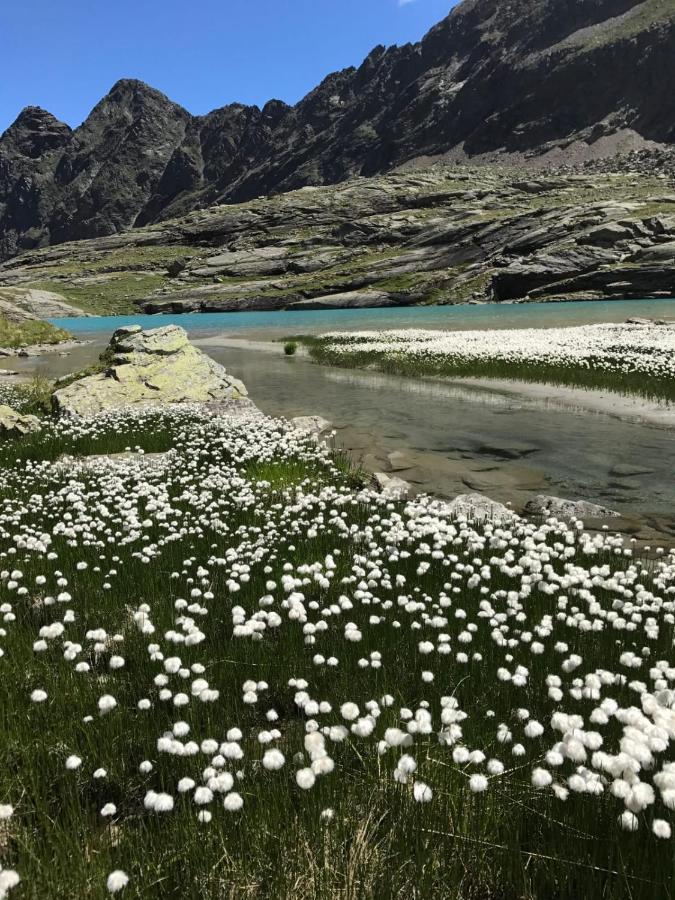 Landhaus Steinmueller Langenfeld Bagian luar foto